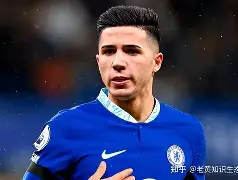 尼斯球队公布新赛季引援计划，继续补强阵容的简单介绍